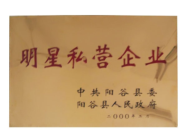明星私营企业