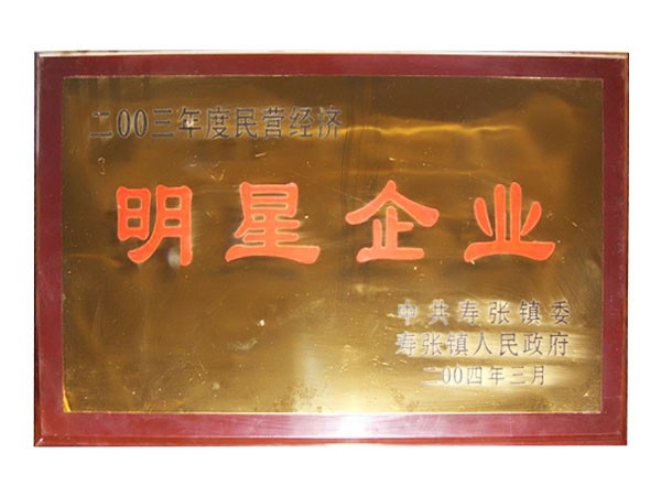 明星企业